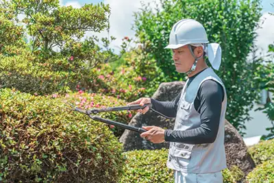 造園・草刈り・剪定